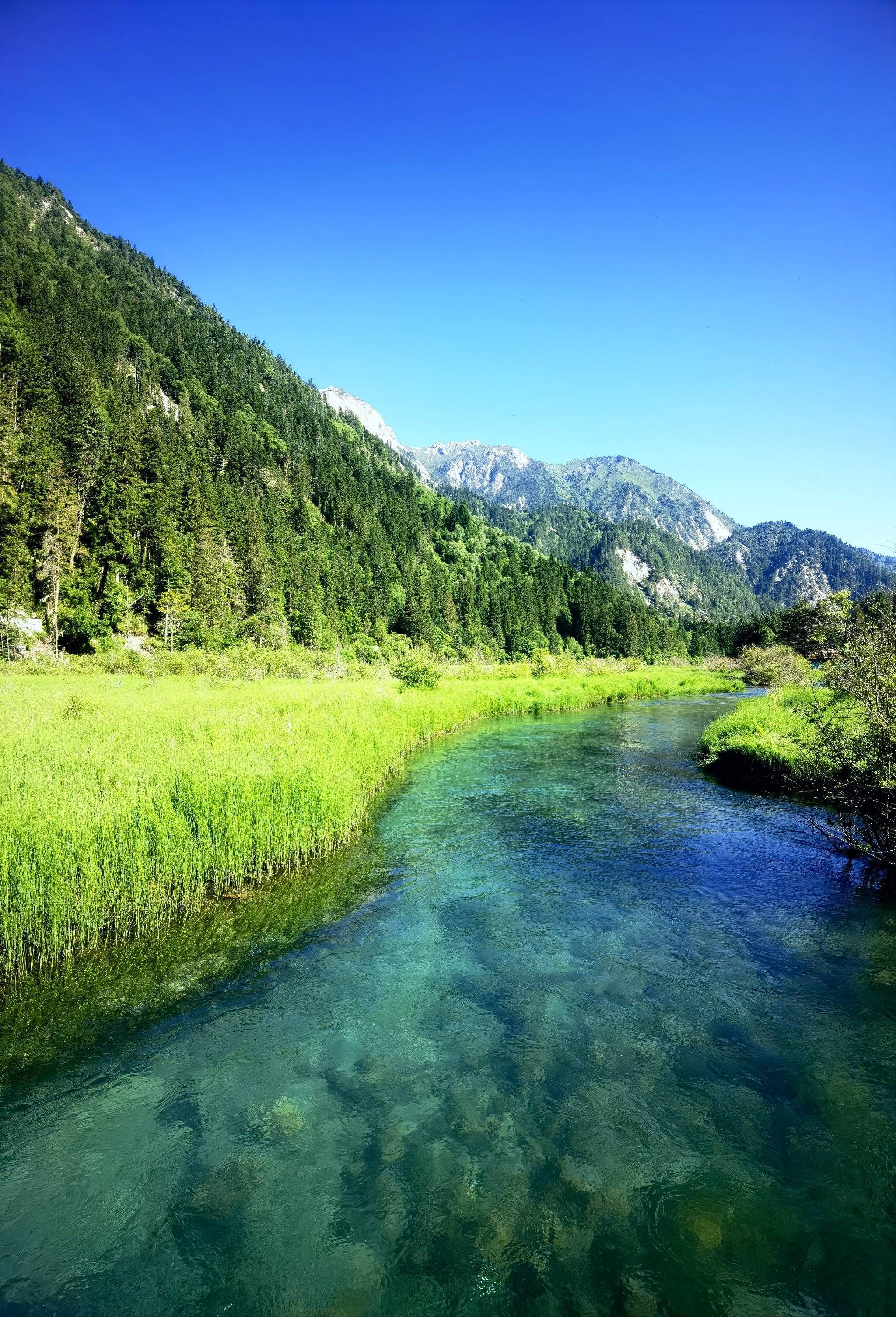 风云突变！成都蓉城转会期造点机会，中超版图或变，引发热议，临场指挥获称赞的简单介绍